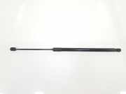 Gasdruckfedern Set Hinten 2GA827550C Volkswagen 1.5 16V TSI ACT (150 CV) 2023 DXDB