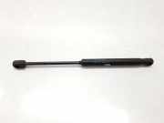 Gasdruckfedern Set Hinten 8731K4 Peugeot 407 (6D) Limousine 2.0 HDiF 16V (DW10BTED4(RHR)) 2005