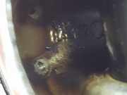 Kolben 8598757 BMW X3 (G01) SUV xDrive 30d 3.0 TwinPower Turbo 24V (B57-D30A)