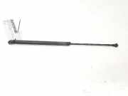 Gasdruckfeder Hinten 8D9827552F Audi A3 (8L1) Schr?gheck 1.8 T 20V (AGU) 1998