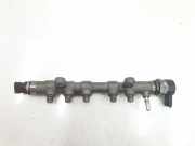 Einspritzdüsen Düsenstock G4D39D280AA Land + Range Rover Range Rover Evoque (LVJ/LVS) SUV 2.0 D 180 16V 5-drs. (204DTD)