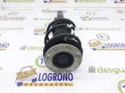 Stoßdämpfer Rechts Vorne 31316784918 BMW Z4 Roadster (E89) Cabrio sDrive 20i 2.0 16V (N20-B20A) 2011