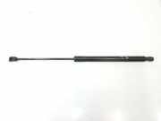 Gasdruckfeder Hinten A1699800764 Mercedes-Benz B (W245) Schrägheck 2.0 B-180 CDI 16_V (OM640.940) 2007