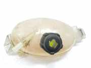 Ausgleichbehälter 217100015R Renault Master III (FV) Van 2.3 dCi 110 16V FWD (M9T-704(M9T-C7)) 2019