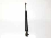 Gasdruckfedern Set Hinten 8254281 BMW 3 serie (E46/4) Limousine 320d 16V (M47-D20(204D1)) 1998