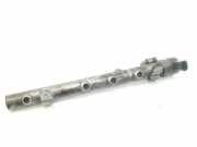 Einspritzdüsen Düsenstock A6420700495 Mercedes-Benz ML II (164/4JG) SUV 3.0 ML-280 CDI V6 24V (OM642.940)