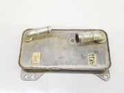 Kühler Automatik 0GC317019C Cupra Formentor SUV 2.0 TSI 16V 4Drive (DNFB) 2020 DNFB