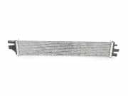 Radiator 214C10001R Renault Master III (FV) Van 2.3 Energy dCi 180 Twin Turbo 16V FWD (M9T-716(M9T-F7)) 2019