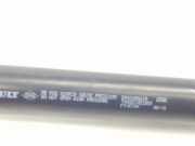 Gasdruckfedern Set Hinten 844308661R Renault IV 1.5 dCi D FAP Energy (90 CV) 2018