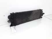 Ladeluftk?hler 8200411160C Renault Trafic New (FL) Van 2.0 dCi 16V 115 (M9R-780) 2010