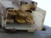 Scheibenwischermotor Vorne 2881559G00 Nissan King Cab/Pickup 4x4 (D22) Pick-up 2.5 Tdi (TD25i)