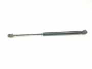 Gasdruckfedern Set Hinten 7700842256 Renault Clio II Societe (SB) Van 1.5 dCi 65 (K9K-704) 2002