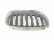 Grill 51133402910 BMW 2.0 16V D (150 CV) 2006