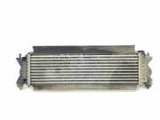 Ladeluftkühler 144614JA0B Nissan NP 300 Navara (D23) Pick-up 2.3 dCi 16V 4x4 (YS23DDT)