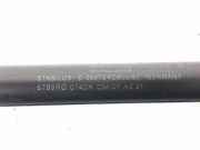 Gasdruckfeder Vorne 31218478 Volvo C30 (EK/MK) Schrägheck 3-drs 2.0 D 16V (D4204T) 2007