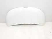 Motorhaube 651224338R Renault L1H1 29t Komfort