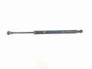 Gasdruckfedern Set Hinten 51247250308 BMW 3 serie (E90) Limousine 330Xi 24V (N52-B30A) 2005