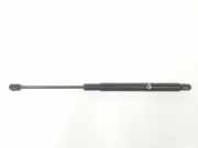 Gasdruckfeder Set Vorne A2059800164 Mercedes-Benz C (W205) Limousine C-220 2.2 CDI BlueTEC, C-220 d 16V (OM651.921) 2014