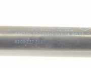 Gasdruckfedern Set Hinten 8200377789 Renault Scénic II (JM) Großraumlimousine 1.9 dCi 120 (F9Q-812) 2004