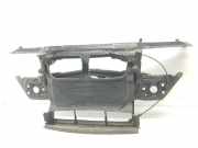 Schließplatte Kühlerträger 51717111691 BMW 3 serie (E46/4) Limousine 320d 16V (M47-D20(204D1)) 2000