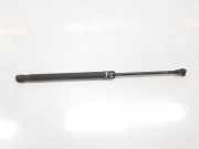 Gasdruckfedern Set Hinten 51237118370 BMW 2.0 16V D (122 CV) 2004