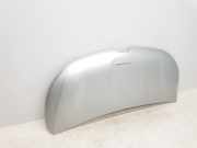 Motorhaube 651224338R Renault L1H1 29t Komfort