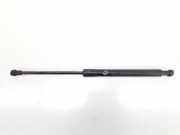 Gasdruckfeder Vorne 51237118370 BMW 1 serie (E87/87N) Schrägheck 5-drs 118d 16V (N47-D20A) 2007