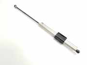 Gasdruckfedern Set Hinten A2178002800 Mercedes-Benz C (R205) Cabrio C-220d 2.2 16V BlueTEC (OM651.921(Euro 6))