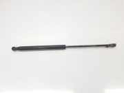 Gasdruckfedern Set Hinten 1542413 Ford 1.2 8V (69 CV) 2012