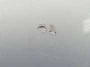 Motorhaube 651000267R Renault Espace (JK) Großraumlimousine 2.2 dCi 16V (G9T-742) 2005