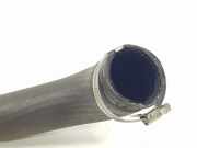 Turbo Leitung 9806788380 Peugeot Expert (V1/VA/VB/VE/VF/VT/VY) Van 1.5 BlueHDi 100 (DV5RUCd(YHR))