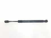 Gasdruckfedern Set Hinten 4F5827552 Audi A6 (C6) Limousine 3.0 TDI V6 24V Quattro (BMK) 2004