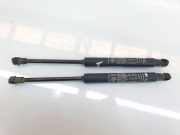 Gasdruckfedern Set Hinten 51859320 Fiat Linea (323AX) Limousine 1.4 (350.A.1000) 2009