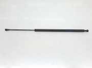 Gasdruckfeder Hinten 51243400379 BMW 2.0 16V D (150 CV) 2006