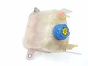 Ausgleichbehälter 1358583080 Fiat Ducato (250) Van 2.3 D 130 Multijet (F1AE3481D) 2013