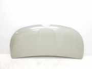 Motorhaube 651224338R Renault L1H1 29t Komfort
