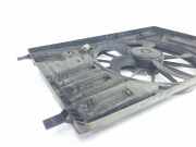 Lüfter Kühler BK218C607BA Ford Transit Custom Van 2.2 TDCi 16V (CYFF(Euro 5)) 2013