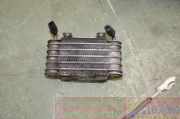 Kraftstoffkühler 13327792140 BMW 3 serie (E46/4) Limousine 320d 16V (M47-D20(204D1)) 2001
