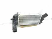 Ladeluftkühler L1BG6D624AB Ford Tourneo Großraumlimousine 1.0 12V Ecoboost (B7JB)