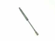 Gasdruckfeder Set Vorne 51238202688 BMW 3 serie (E46/4) Limousine 320d 16V (M47-D20(204D1)) 1998