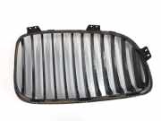 Grill Gitter Links 51137166439 BMW 1 serie (E87/87N) Schrägheck 5-drs 118d 16V (N47-D20A) 2007