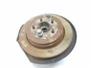 Achsschenkel Rechts Hinten RLH500020 Land + Range Rover Range Rover Sport (LS) Geländewagen 2.7 TDV6 24V (276DT) 2005