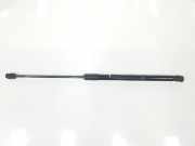 Gasdruckfedern Set Hinten A2059801064 Mercedes-Benz C Estate (S205) Kombi C-300d 2.0 Turbo 16V (OM654.920) 2019