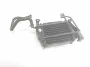 Radiator ZL000364200 BMW iX3 SUV 80 kWh (HA0001N0)