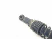 Sto?d?mpfer Rechts Hinten 56231R Piaggio Porter NP6 Ch.Cab/Pick-up 1.5 16V LPG (M15KRP)