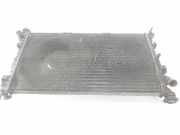 Radiator 8T168005BB Ford Familiar