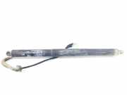 Gasdruckfedern Set Hinten 51247434041 BMW X5 (F15) SUV xDrive 40d 3.0 24V (N57-D30B) 2017