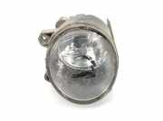 Nebelscheinwerfer Rechts 63176920886 BMW X5 (E53) SUV 3.0d 24V (M57N-D30(306D2)) 2005