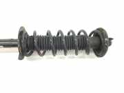 Stoßdämpfer Rechts Hinten 52610TL1E120M1 Honda Accord (CU) Limousine 2.2 i-DTEC 16V (N22B1) 2012