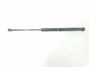 Gasdruckfedern Set Hinten 7060622 BMW 1 serie (E87/87N) Schrägheck 5-drs 118d 16V (N47-D20C) 2008